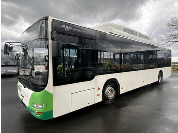 Förortsbuss MAN A 21 Lion’s City CNG: bild 2
