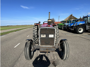 Massey Ferguson 365 - Traktor: bild 2