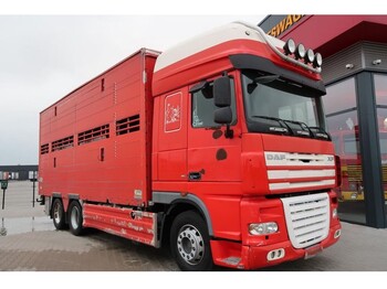 Djurtransport lastbil DAF XF 105 XF105-460