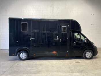 Fiat Böckmann Compact L+ Stall Tour LKW - djurtransport lastbil