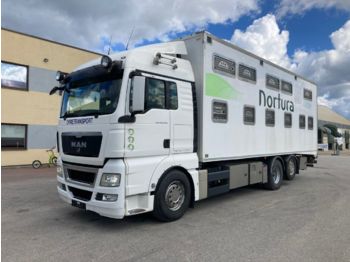 Djurtransport lastbil MAN TGX 26.540 + FULL AIR + 2 FLOOR BOX