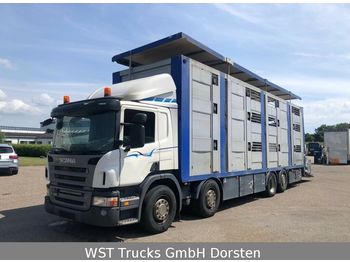 Djurtransport lastbil Scania P 380 Menke Doppelstock 8,10m Hubdach