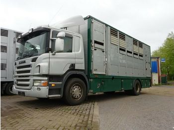 Djurtransport lastbil Scania P 380 mitt Menke Doppelstock