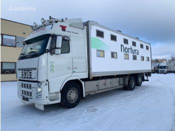 Djurtransport lastbil VOLVO FH540