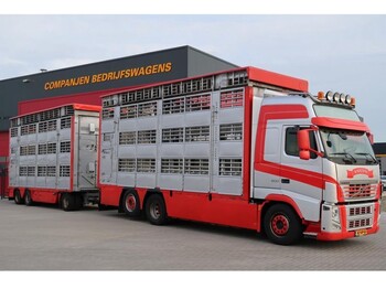 Djurtransport lastbil Volvo FH 500 6X2