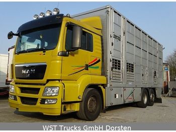 Djurtransport lastbil MAN TGX 26.440 LX Menke 3 Stock: bild 1
