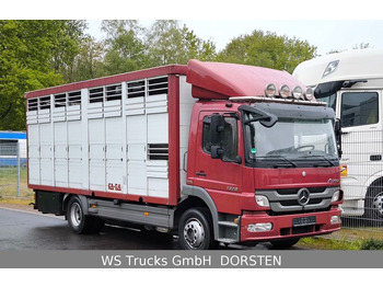 Mercedes-Benz Atego 1329  4x2  KA-BA Viehtransporter Großvieh  - Djurtransport lastbil: bild 1
