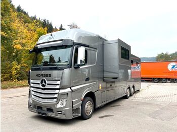 Djurtransport lastbil Mercedes-Benz Pferdedetransporter: bild 1
