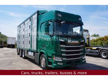 Djurtransport lastbil Scania R500 LL HighLine *4Stock-Menke/Retarder/LenkLift: bild 1