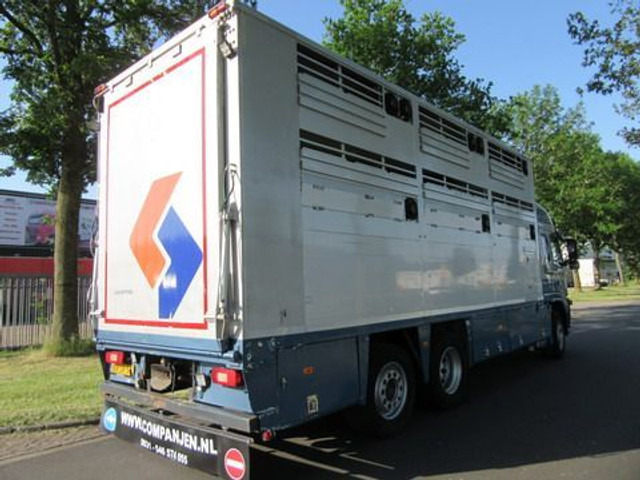 Djurtransport lastbil Volvo FM 9: bild 18