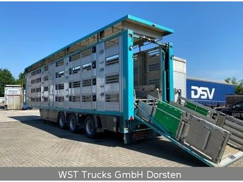 Djurtransport semitrailer Finkl 4 Stock Ausahrbares Dach Vollalu Typ 2
