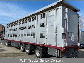Djurtransport semitrailer Menke 3 Stock Lenk Lift Vollalu