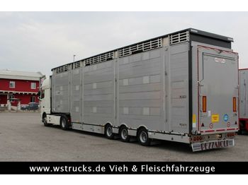 Djurtransport semitrailer Pezzaioli SBA31-SR 3 Stock Vermietung
