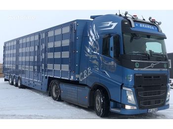 Ny Djurtransport semitrailer för transportering djur New PLAVAC 3+4: bild 1