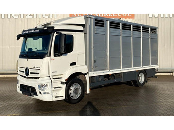 Djurtransport lastbil MERCEDES-BENZ Actros