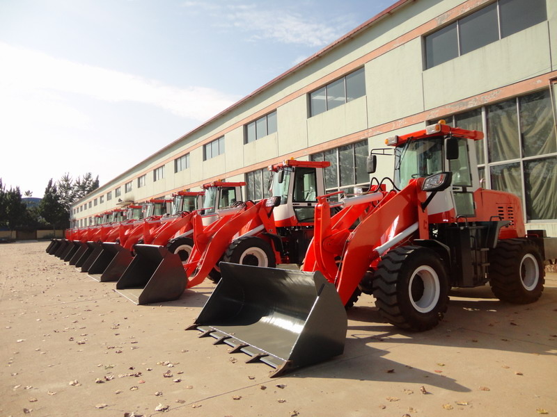QINGDAO PROMISING INTERNATIONAL CO., LTD. undefined: bild 4