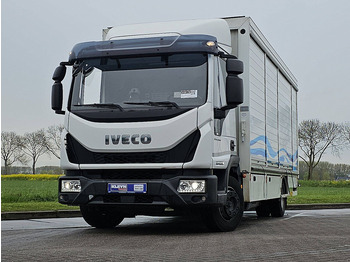 Lastbil med skåp IVECO EuroCargo