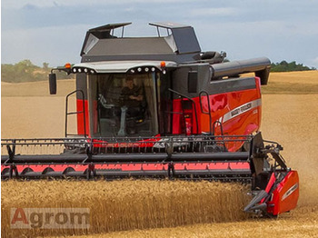 Skördetröska MASSEY FERGUSON