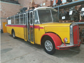 Buss