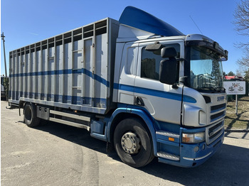 Lastbil med skåp SCANIA P 310