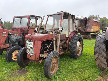 Traktor MASSEY FERGUSON