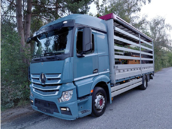 Kapellbil MERCEDES-BENZ Actros 1836