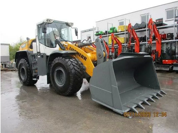 Leasa  2023 Liebherr L 550 XPower 2023 Liebherr L 550 XPower: bild 2