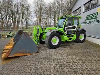 Lastare MERLO
