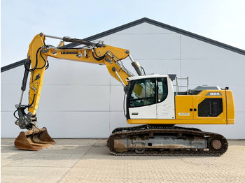 Bandgrävare LIEBHERR R 924