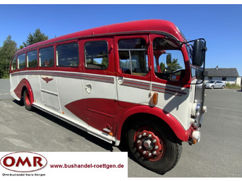 Buss