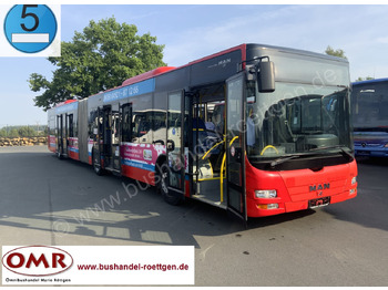 Ledbuss MAN Lion's City A23