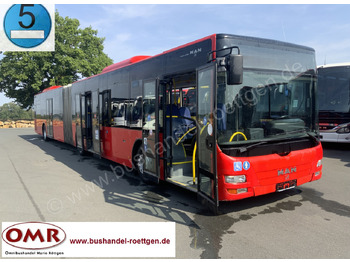 Ledbuss MAN Lion's City A23