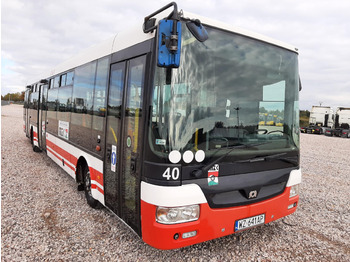 Stadsbuss SOR SOR NB 12 AUTOBUS: bild 1