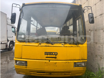 Skolbuss IVECO
