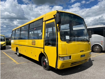 Skolbuss IVECO
