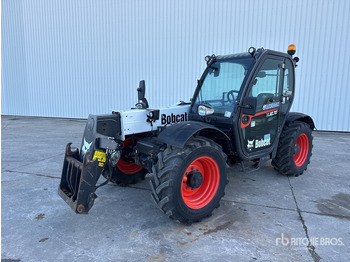 Teleskoplastar BOBCAT