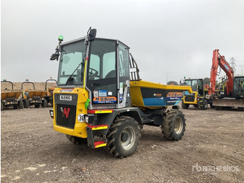 Dumper WACKER