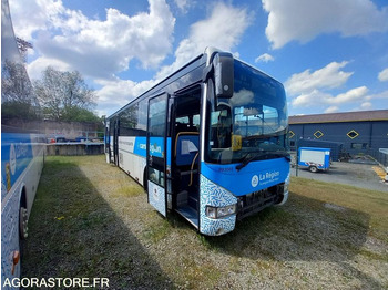 Minibuss IVECO Crossway