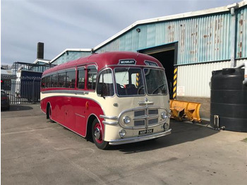Turistbuss