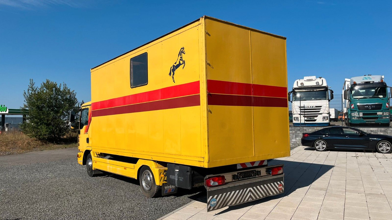 MAN TGL 10.180 Euro 4  Pferdetransporter Horse MAN TGL 10.180 Euro 4  Pferdetransporter Horse - Hästbuss: bild 5 MAN TGL 10.180 Euro 4  Pferdetransporter Horse MAN TGL 10.180 Euro 4  Pferdetransporter Horse - Hästbuss: bild 5
