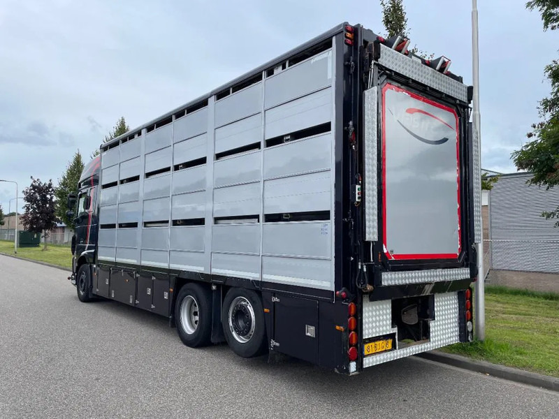 DAF XF 460 2017 berdex 3 lagen varkens - Djurtransport lastbil: bild 2 DAF XF 460 2017 berdex 3 lagen varkens - Djurtransport lastbil: bild 2