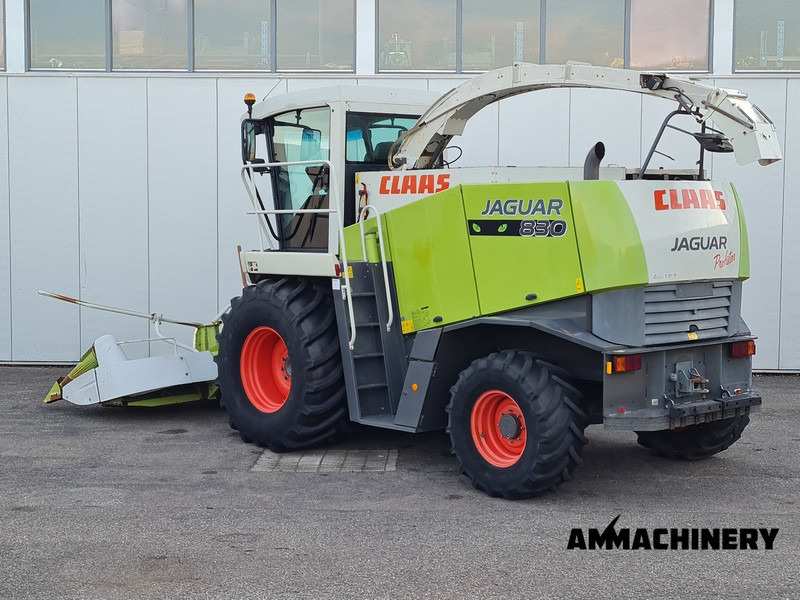 Claas Jaguar 830 profistar - Exakthack: bild 4 Claas Jaguar 830 profistar - Exakthack: bild 4