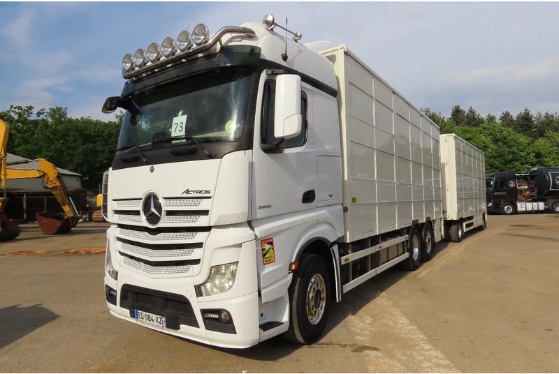 Mercedes-Benz Actros 2551 BERDEX 3 decks, All options + Berdex 12/ 2007 - Djurtransport lastbil: bild 3 Mercedes-Benz Actros 2551 BERDEX 3 decks, All options + Berdex 12/ 2007 - Djurtransport lastbil: bild 3