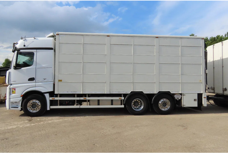 Mercedes-Benz Actros 2551 BERDEX 3 decks, All options + Berdex 12/ 2007 - Djurtransport lastbil: bild 4 Mercedes-Benz Actros 2551 BERDEX 3 decks, All options + Berdex 12/ 2007 - Djurtransport lastbil: bild 4