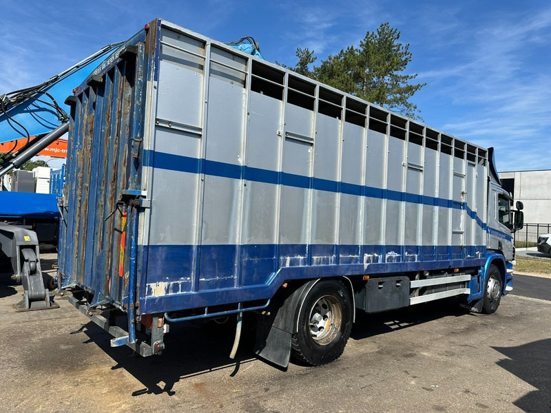Scania P310 4x2 CLOSED ALU BOX 7m - MANUAL - A/C - BELGIAN TRUCK - Lastbil med skåp: bild 5 Scania P310 4x2 CLOSED ALU BOX 7m - MANUAL - A/C - BELGIAN TRUCK - Lastbil med skåp: bild 5