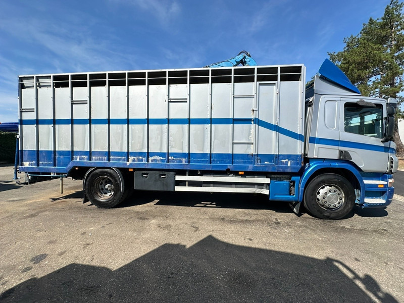 Scania P310 4x2 LIVESTOCK / VEEWAGEN / TIERTRANSPORT / BETAILLERE - ALU BOX 7m - MANUAL - A/C - BELGIAN TRUCK - Djurtransport lastbil: bild 4 Scania P310 4x2 LIVESTOCK / VEEWAGEN / TIERTRANSPORT / BETAILLERE - ALU BOX 7m - MANUAL - A/C - BELGIAN TRUCK - Djurtransport lastbil: bild 4