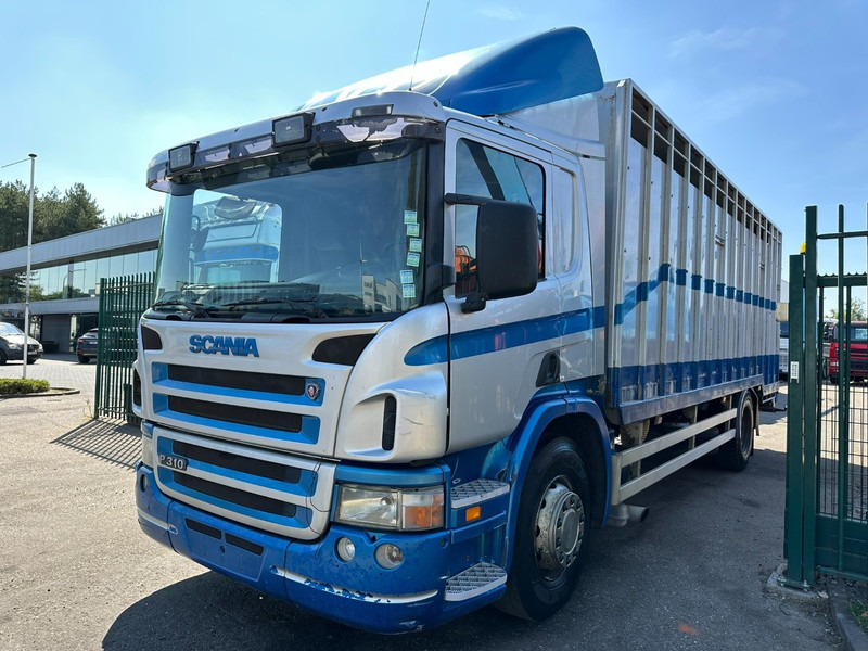 Scania P310 4x2 LIVESTOCK / VEEWAGEN / TIERTRANSPORT / BETAILLERE - ALU BOX 7m - MANUAL - A/C - BELGIAN TRUCK - Djurtransport lastbil: bild 3 Scania P310 4x2 LIVESTOCK / VEEWAGEN / TIERTRANSPORT / BETAILLERE - ALU BOX 7m - MANUAL - A/C - BELGIAN TRUCK - Djurtransport lastbil: bild 3