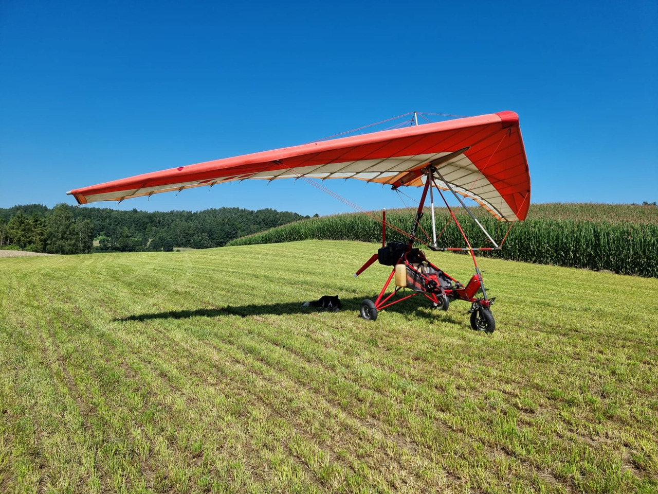 Air Creation GT BI 503-2E - Fyrhjuling: bild 5 Air Creation GT BI 503-2E - Fyrhjuling: bild 5