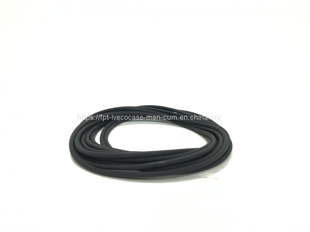 FPT IVECO CASE Cursor11 F3GFE613A B001 5801863562/5801690111 Liner seal ring 504372471 - Kolvar/ Ring/ Ärm: bild 2 FPT IVECO CASE Cursor11 F3GFE613A B001 5801863562/5801690111 Liner seal ring 504372471 - Kolvar/ Ring/ Ärm: bild 2