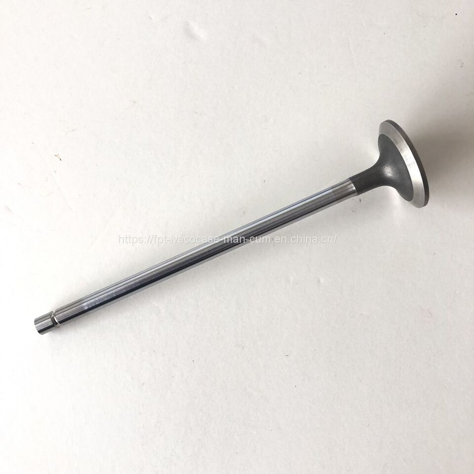 FPT IVECO CASE Cursor9Bus F2CFE612D*J231/F2CFE612A*J098 5802748674 EXHAUST VALVE 5801506352 - Ventil för Buss: bild 2 FPT IVECO CASE Cursor9Bus F2CFE612D*J231/F2CFE612A*J098 5802748674 EXHAUST VALVE 5801506352 - Ventil för Buss: bild 2